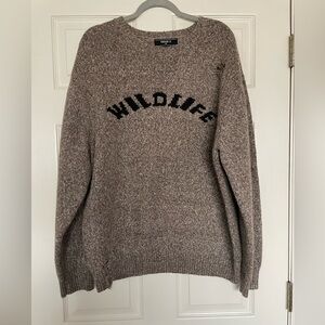 Forever 21 Men’s Wildlife Distressed Sweater - *NEW*